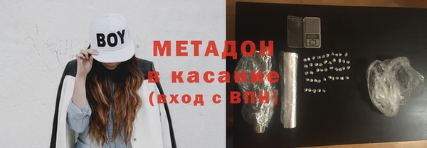 сатива Алзамай