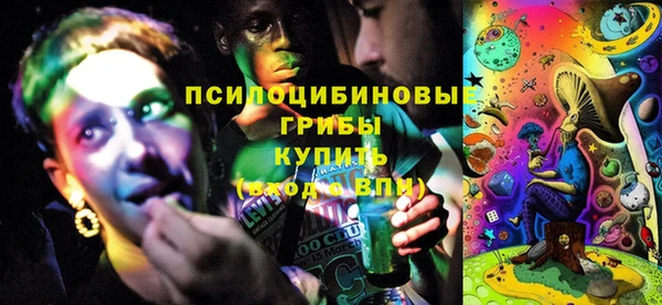 ECSTASY Алексин