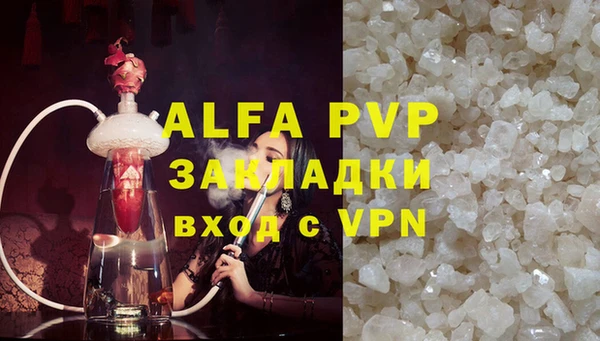 сатива Алзамай