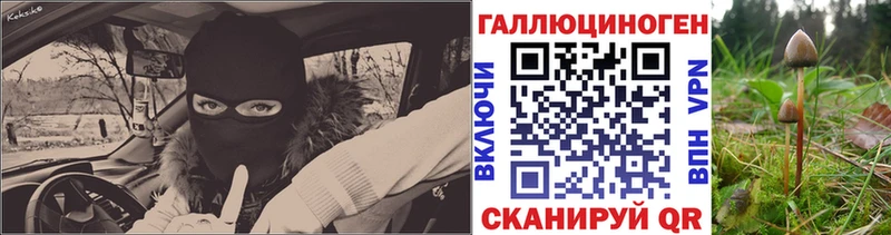 Галлюциногенные грибы GOLDEN TEACHER  Котельники 
