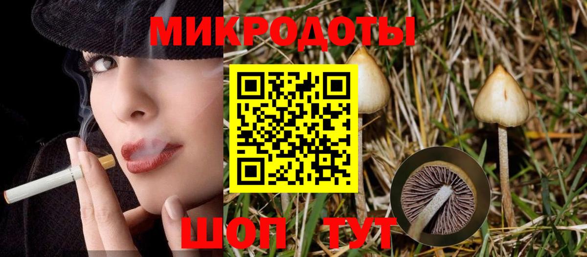 Псилоцибиновые грибы прущие грибы Котельники