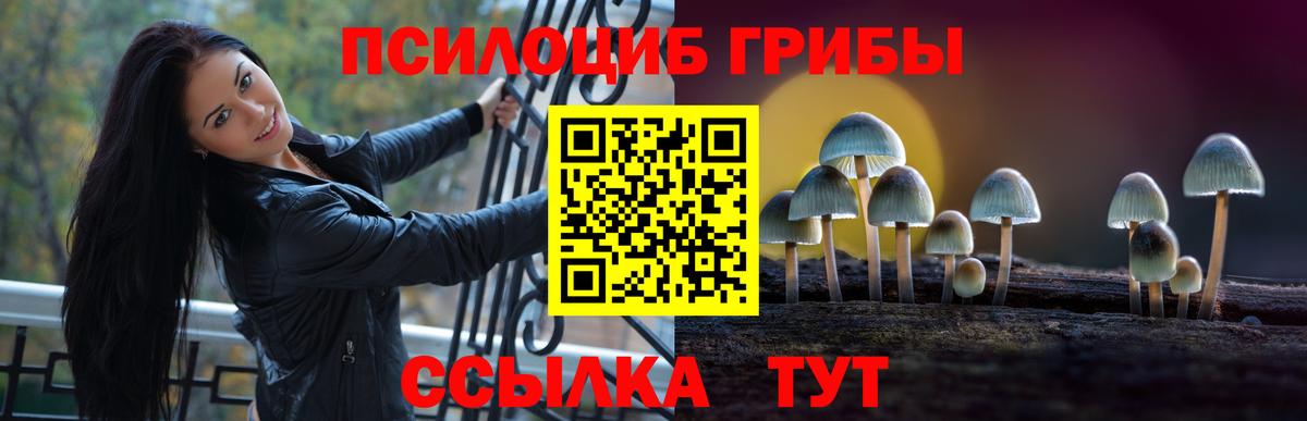 Псилоцибиновые грибы прущие грибы  Псилоцибиновые грибы Cubensis  Вход с VPN  Котельники 